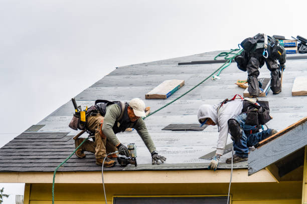 Professional Roofing technician working in Covesville, VA
